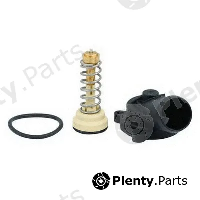 Fispa 94.647K — Thermostat, coolant