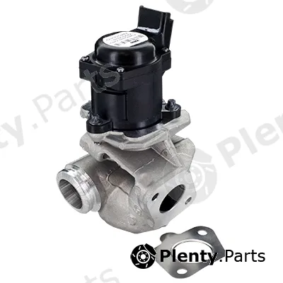 Fispa 83.4613 — EGR Valve