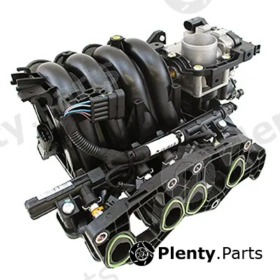 Intake Manifold Module