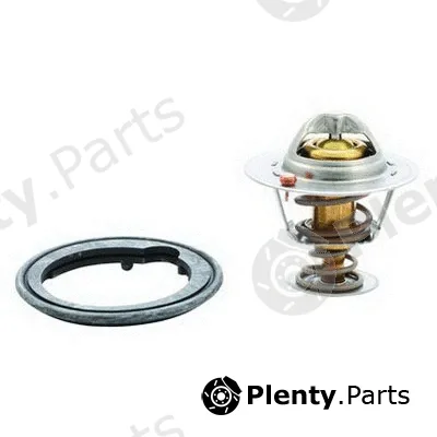 Fispa 94.183 — Thermostat, coolant