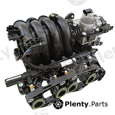 Intake Manifold Module