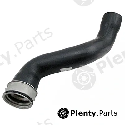 Fispa 500360 — Charge Air Hose