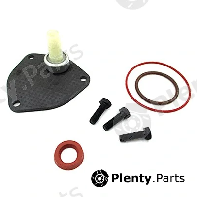 Fispa 89.299 — Repair Set, vacuum pump (braking system)