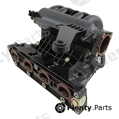 Intake Manifold Module