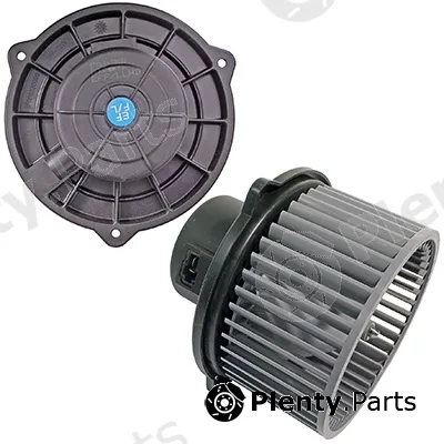 Interior Blower