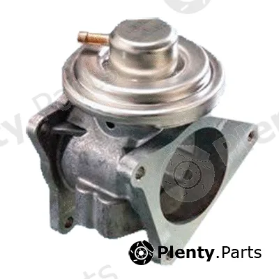 Fispa 83.617AS — EGR Valve ARMAN