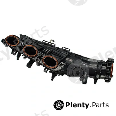 Intake Manifold Module