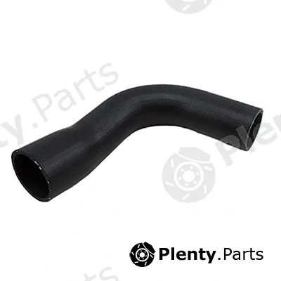 Fispa 500199 — Charge Air Hose