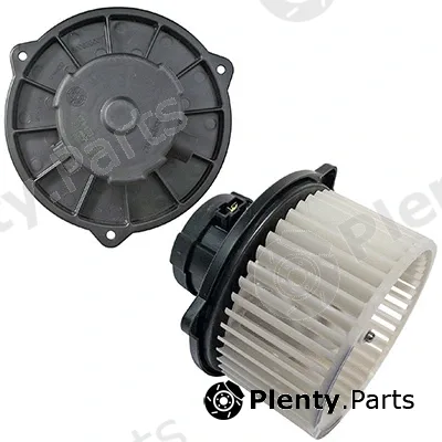 Interior Blower