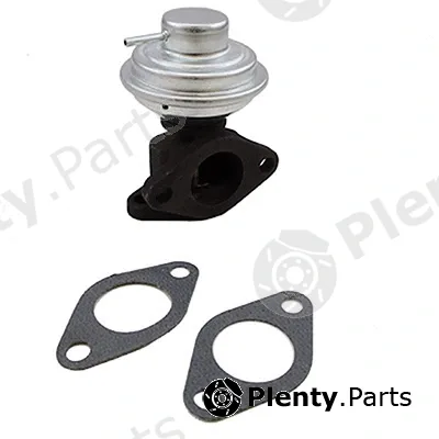 Fispa 83.1470AS — EGR Valve ARMAN