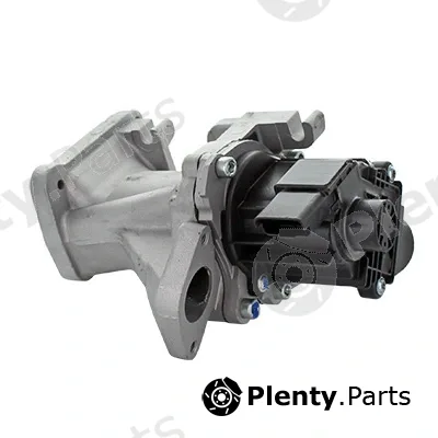 Fispa 83.833R — EGR Valve