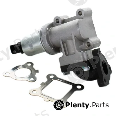 Fispa 83.793AS — EGR Valve ARMAN