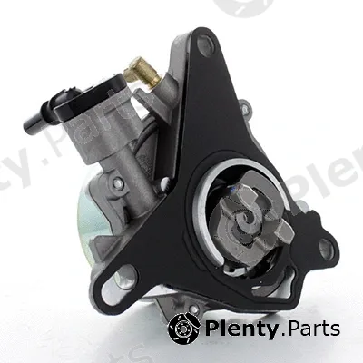 Fispa 89.238 — Vacuum Pump, braking system