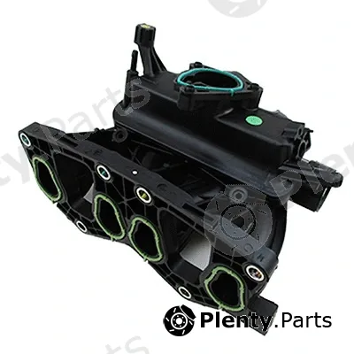 Intake Manifold Module