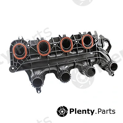 Intake Manifold Module