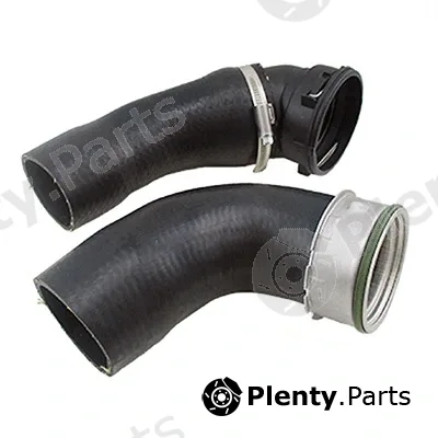 Fispa 500163 — Charge Air Hose