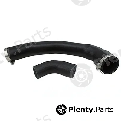 Fispa 500229 — Charge Air Hose