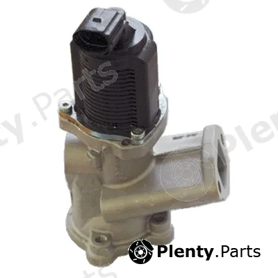 Fispa 83.831 — EGR Valve