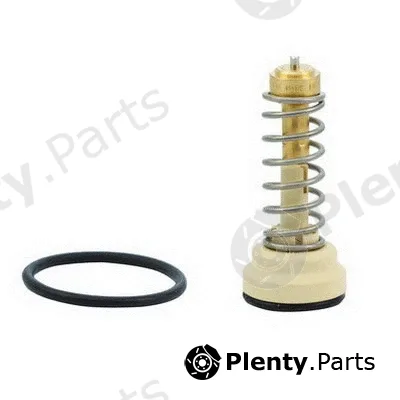 Fispa 94.647 — Thermostat, coolant