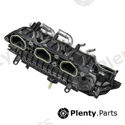 Intake Manifold Module