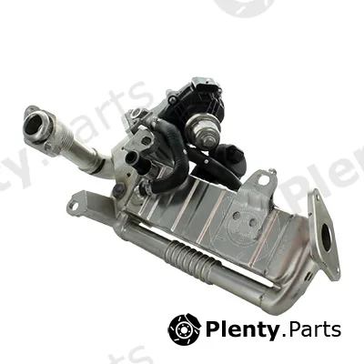 EGR Module