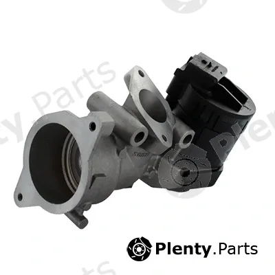 Fispa 83.823R — EGR Valve