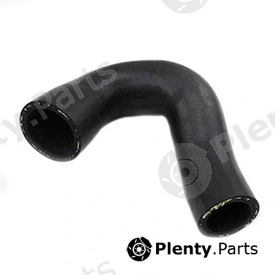 Fispa 500363 — Charge Air Hose