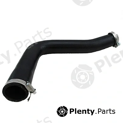 Fispa 500508 — Charge Air Hose