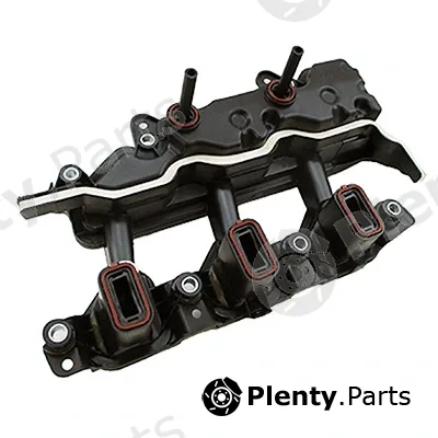 Intake Manifold Module