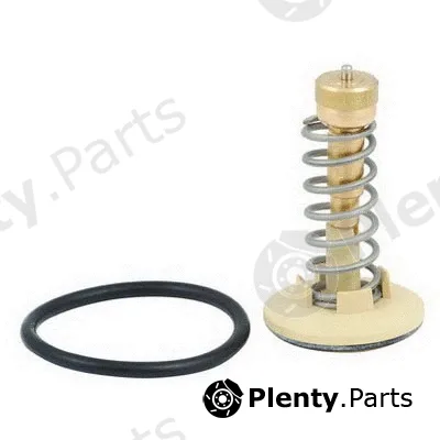 Fispa 94.646 — Thermostat, coolant