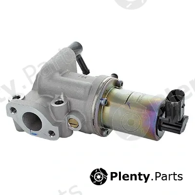 Fispa 83.1310 — EGR Valve