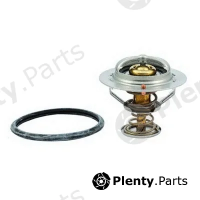 Fispa 94.343 — Thermostat, coolant