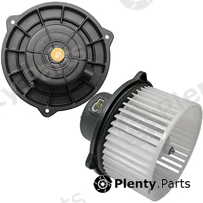 Interior Blower