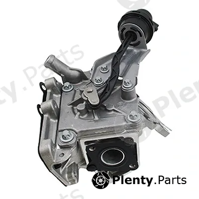 EGR Module