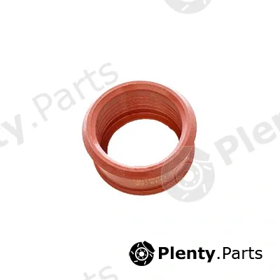 Fispa 500253 — Charge Air Hose