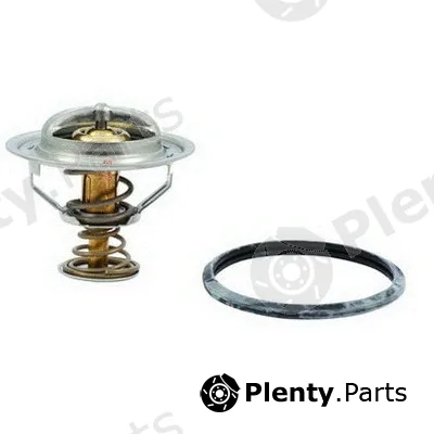 Fispa 94.529 — Thermostat, coolant