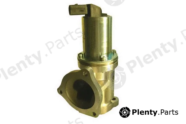 Fispa 83.794 — EGR Valve