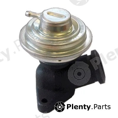Fispa 83.834 — EGR Valve