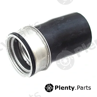 Fispa 500031 — Charge Air Hose