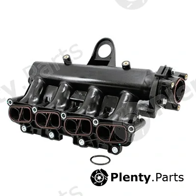 Intake Manifold Module