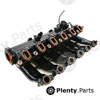 Intake Manifold Module