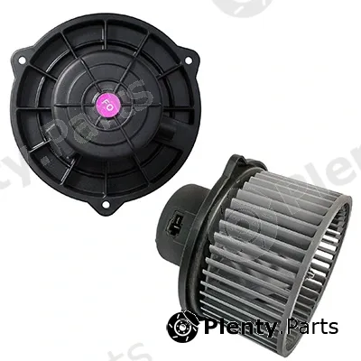 Interior Blower