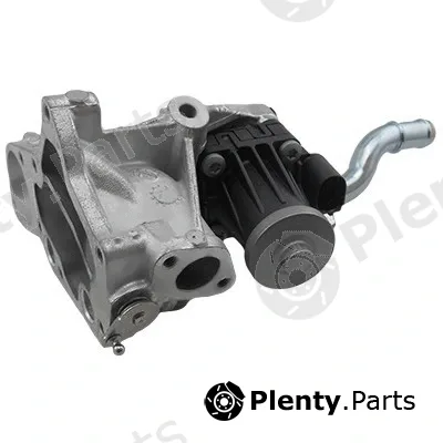 EGR Module