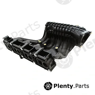 Intake Manifold Module