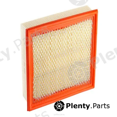 GCG Turbos Australia RY-A1411 — Air Filter