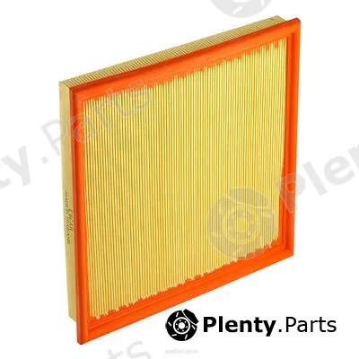 GCG Turbos Australia RY-A1556 — Air Filter