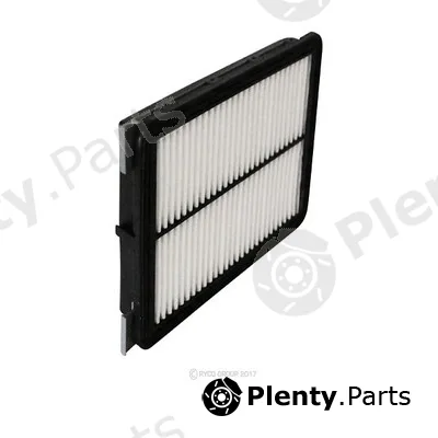GCG Turbos Australia RY-A1817 — Air Filter