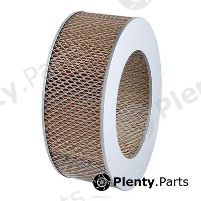 GCG Turbos Australia RY-A445 — Air Filter