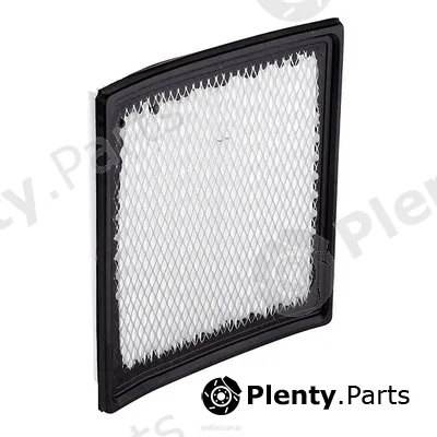 GCG Turbos Australia RY-A1753 — Air Filter