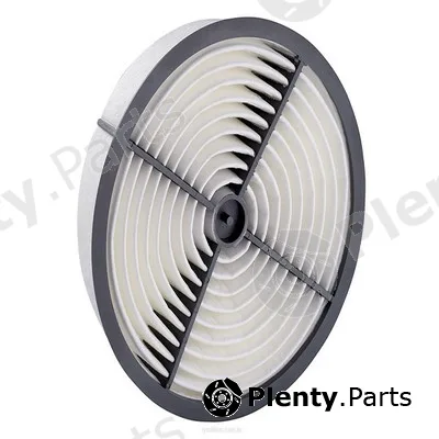 GCG Turbos Australia RY-A1733 — Air Filter